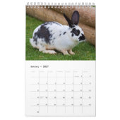 Kaninchen und Hares-Kalender Kalender (Jan 2027)