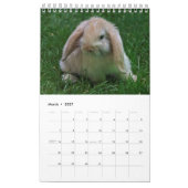 Kaninchen und Hares-Kalender Kalender (Mär 2027)