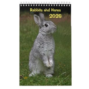 Kaninchen und Hares-Kalender Kalender