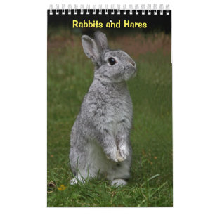 Kaninchen und Hasen Kalender
