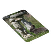 Kaninchen- und Hasen-Statue-Vogelfutterhaus Magnet (Rechte Seite)