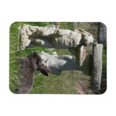 Kaninchen- und Hasen-Statue-Vogelfutterhaus Magnet (Horizontal)