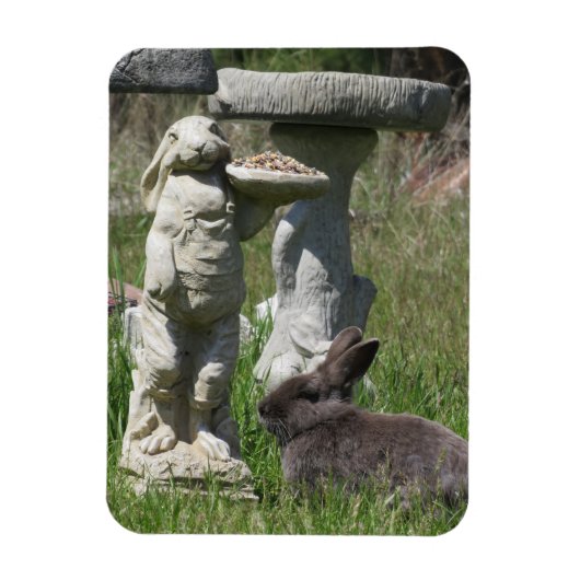 Kaninchen- und Hasen-Statue-Vogelfutterhaus Magnet (Vertikal)