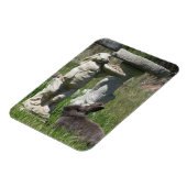 Kaninchen- und Hasen-Statue-Vogelfutterhaus Magnet (Linke Seite)