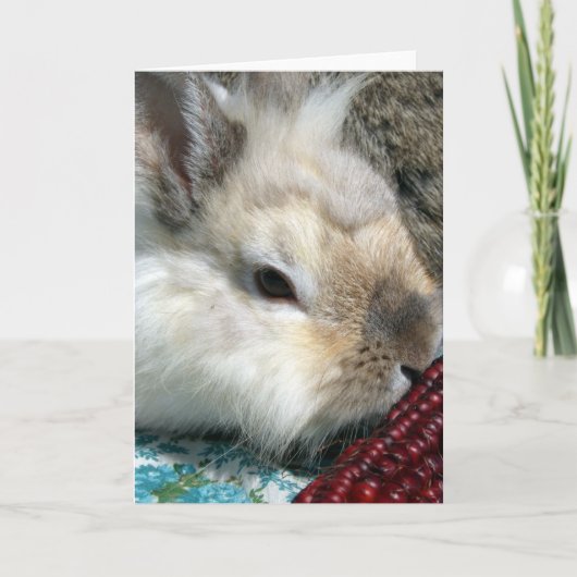 Kaninchen und Indischer Mais Karte (Vorderseite)