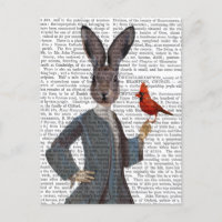 Kaninchen und Vögel 2
