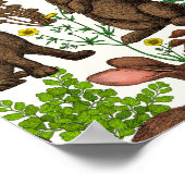 Kaninchen und Waldflora 4 Poster (Ecke)