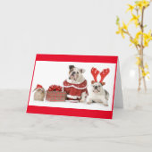 KANINCHEN UND ZWEI KARTE (Gelbe Blume)