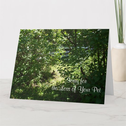 Kaninchen- Verlust eines Heimtiers Karte (Vorderseite)