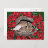 Kaninchen-Weihnachten Postkarte (Vorne/Hinten)