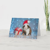 Kaninchen - Weihnachtskarte Karte (Vorderseite)