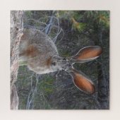 Kaninchen, wild lebende Tiere, Puzzle mit Geschenk (Horizontal)