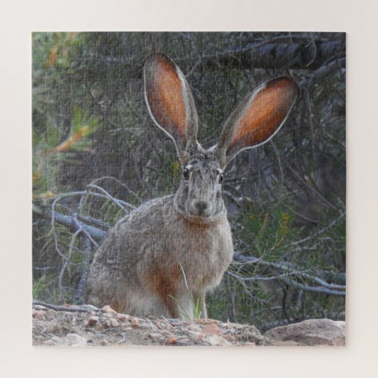 Kaninchen, wild lebende Tiere, Puzzle mit Geschenk (Vertikal)