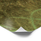 Kaninchen Wildtiere Kunstmalposter Poster (Ecke)