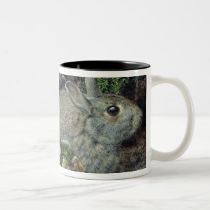 Kaninchen Zweifarbige Tasse