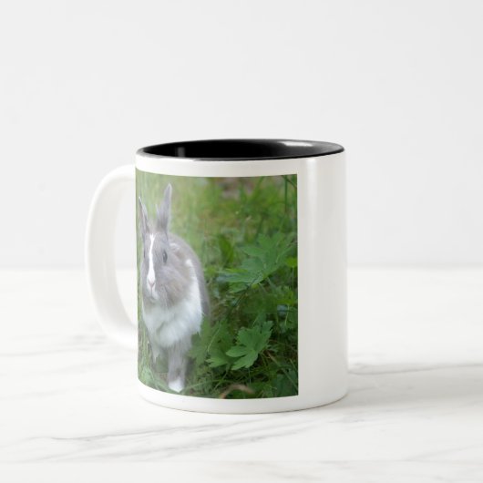 Kaninchen Zweifarbige Tasse (Vorderseite Links)