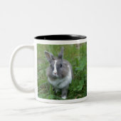 Kaninchen Zweifarbige Tasse (Links)