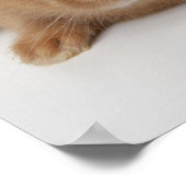 Kaninchen.Zwerge in den Niederlanden. Poster (Ecke)