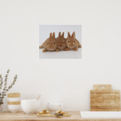 Kaninchen.Zwerge in den Niederlanden. Poster (Küche)