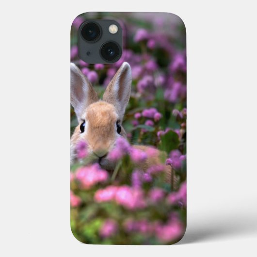 Kaninchenbauernhof Case-Mate iPhone Hülle (Rückseite)