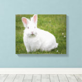 Kaninchenbunny Leinwanddruck (Insitu (Holzboden))