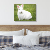 Kaninchenbunny Leinwanddruck (Insitu (Schlafzimmer))
