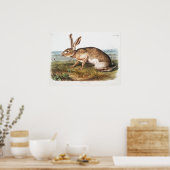 Kaninchendarstellung Poster (Küche)