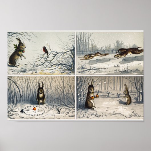 Kaninchendarstellung Poster (Vorne)