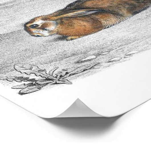 Kaninchendarstellung Poster (Ecke)