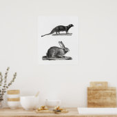 Kaninchendarstellung Poster (Küche)