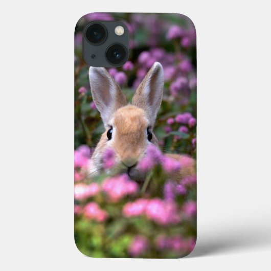 Kaninchenfarm Case-Mate iPhone Hülle (Rückseite)