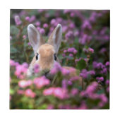 Kaninchenfarm Fliese (Vorderseite)