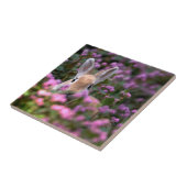 Kaninchenfarm Fliese (Seite)