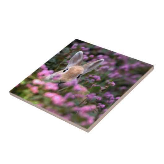 Kaninchenfarm Fliese (Seite)