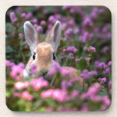 Kaninchenfarm Getränkeuntersetzer (Vorderseite)