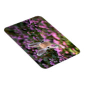 Kaninchenfarm Magnet (Rechte Seite)
