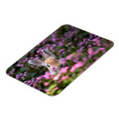 Kaninchenfarm Magnet (Linke Seite)