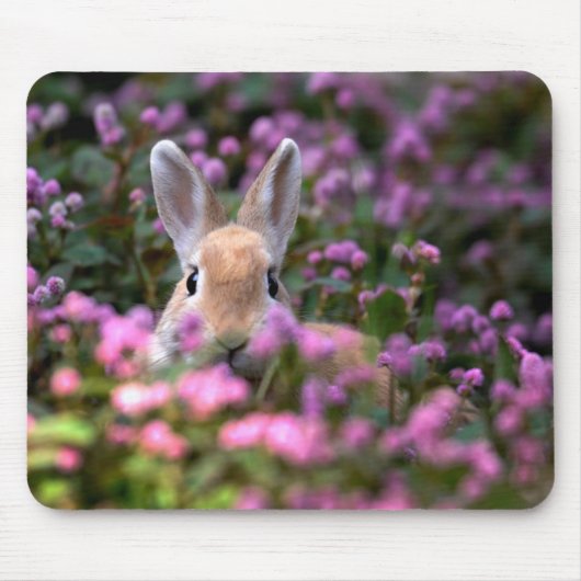 Kaninchenfarm Mousepad (Vorne)