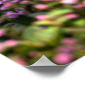 Kaninchenfarm Poster (Ecke)
