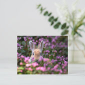 Kaninchenfarm Postkarte (Stehend Vorderseite)