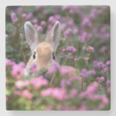 Kaninchenfarm Steinuntersetzer (Vorderseite)