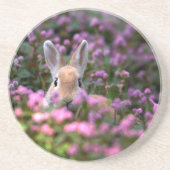 Kaninchenfarm Untersetzer (Vorne)