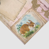 Kaninchengewebe Seidenpapier (Ausschnitt)