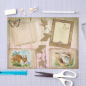 Kaninchengewebe Seidenpapier (Handwerk)