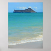 Kanincheninsel Poster (Vorne)