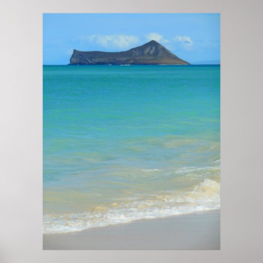 Kanincheninsel Poster (Vorne)