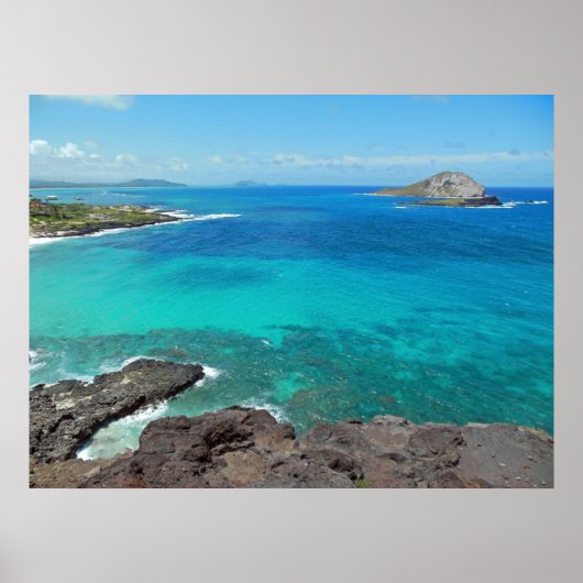 Kanincheninsel Poster (Vorne)