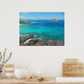 Kanincheninsel Poster (Küche)