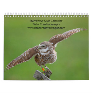 Kaninchenkauz 2026 kalender