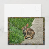 Kaninchenkunst Feiertagspostkarte (Vorne/Hinten)